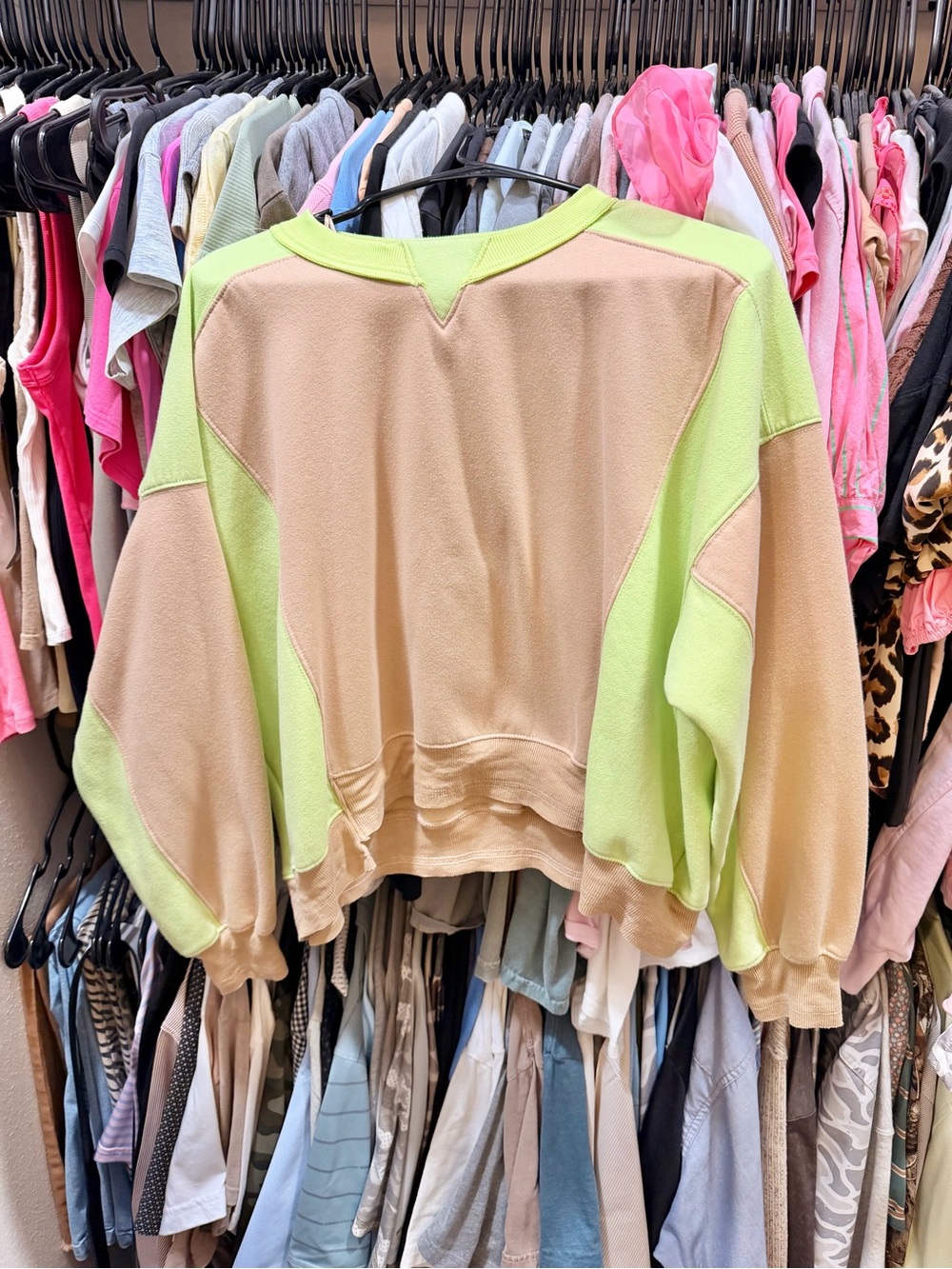 Colorblock Cropped Sweatshirt in Beige & Lime